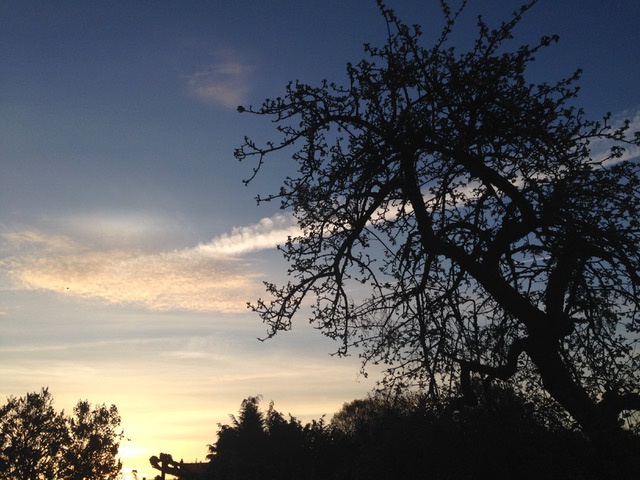 Over-Hoop - studiedag UPC kU Leuven 