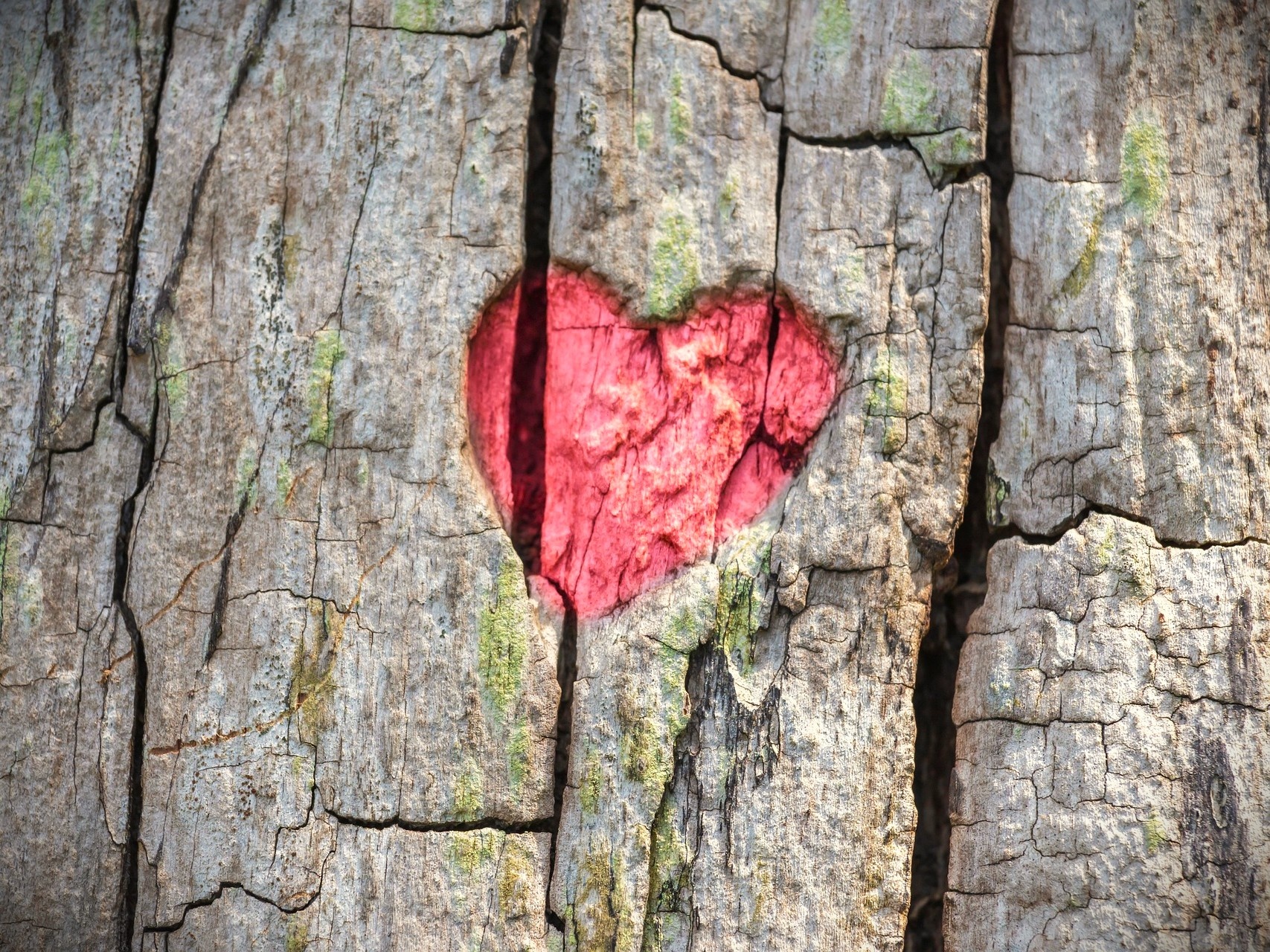 opleiding relatietherapeut