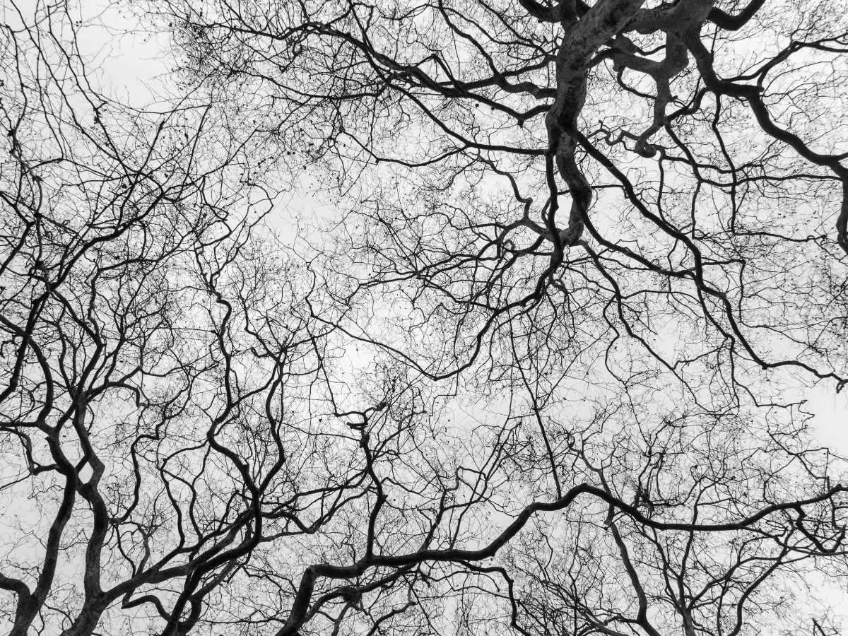 prikkelend podium psychose teaser